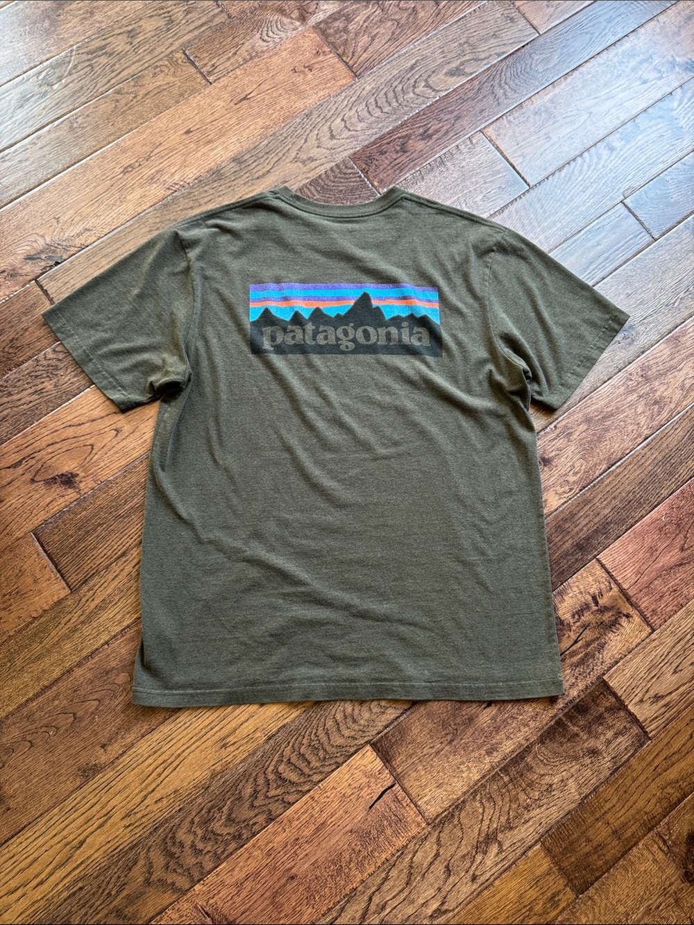 Patagonia Olive Short Sleeve Logo Tee with Multicolor Stripe